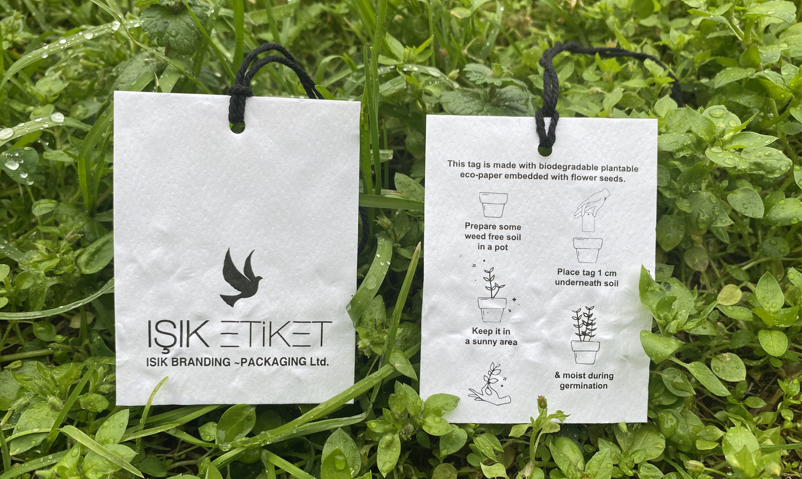 tohumlu-karton-etiket